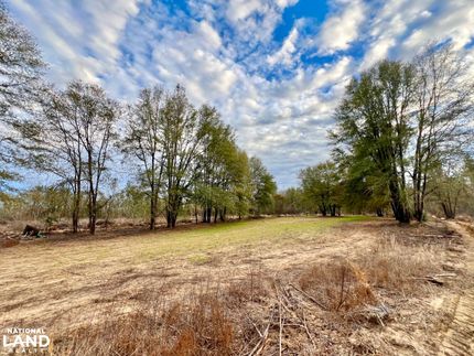 Hunting Land for sale in Wilcox County, Alabama