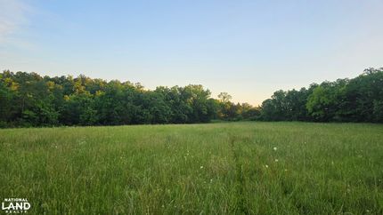 Hunting Land for sale in Searcy County, Arkansas