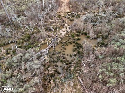 Property for sale in Scott County, Mississippi