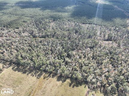 Timberland Property for sale in Jefferson Davis Parish, Louisiana