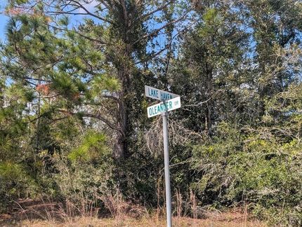 Undeveloped Land for sale in Polk County, Florida
