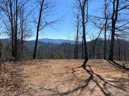Undeveloped Land for sale in Macon County, North Carolina
