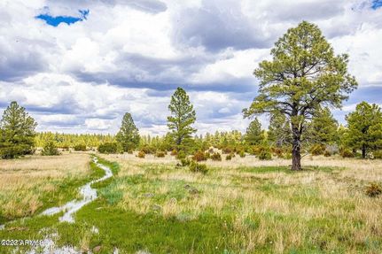 Property for sale in Apache County, Arizona