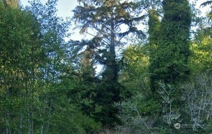 Property for sale in Grays Harbor County, Washington