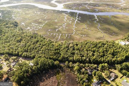 Waterfront Property for sale in Camden County, Georgia