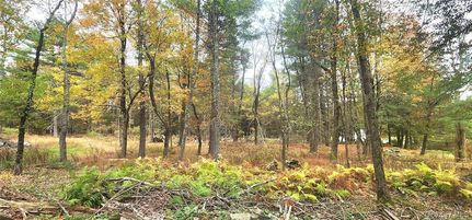 Property for sale in Sullivan County, New York