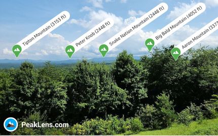 Property for sale in Fannin County, Georgia