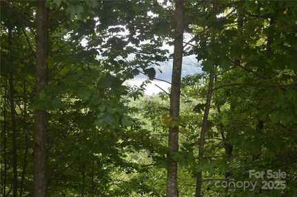 Property for sale in McDowell County, North Carolina