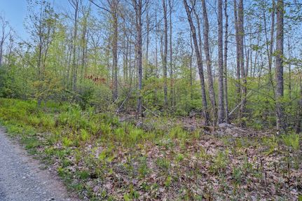 Undeveloped Land for sale in Penobscot County, Maine
