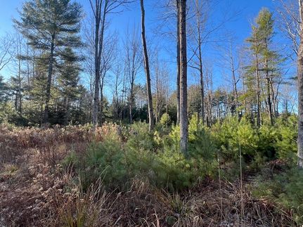 Undeveloped Land for sale in Sagadahoc County, Maine