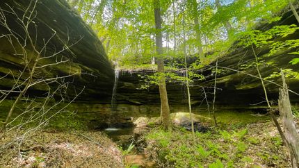 Property for sale in Colbert County, Alabama