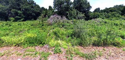 Property for sale in Marion County, Florida