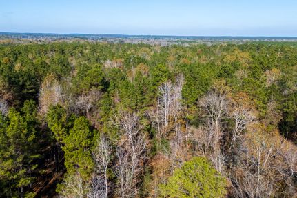 Timberland Property for sale in Houston County, Texas