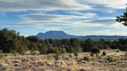 Property in Catron County, New Mexico