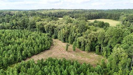 Property for sale in Prentiss County, Mississippi