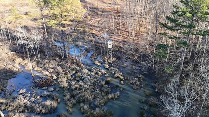 Property for sale in Union County, Mississippi