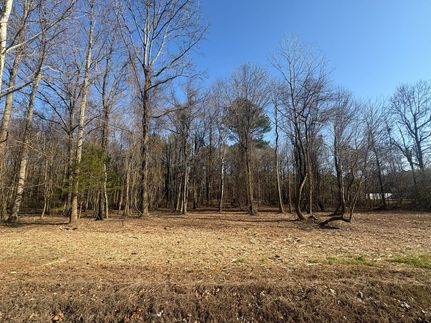 Undeveloped Land for sale in Morgan County, Alabama