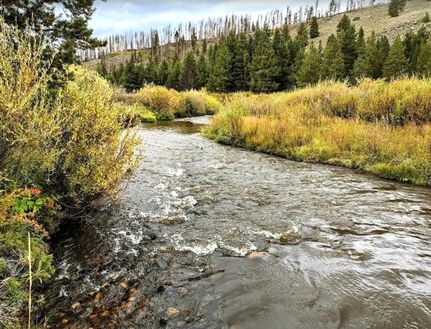 Property for sale in Albany County, Wyoming