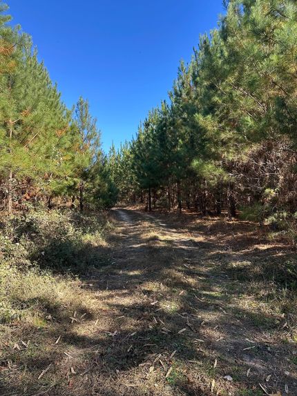 Property for sale in Dale County, Alabama