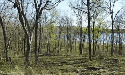 Property for sale in Todd County, Minnesota