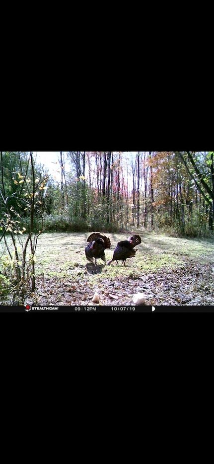 Property in Rusk County, Wisconsin