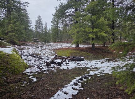 Property for sale in Pend Oreille County, Washington