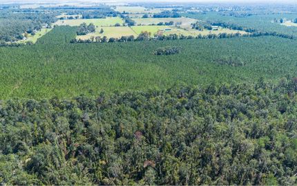 Undeveloped Land for sale in Suwannee County, Florida
