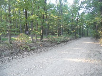 Undeveloped Land for sale in Newton County, Arkansas