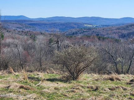 Property for sale in Schoharie County, New York