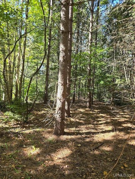 Property for sale in Houghton County, Michigan