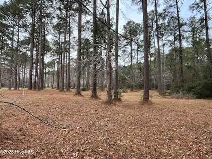 Property for sale in Pamlico County, North Carolina