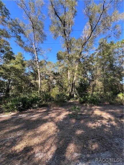 Property for sale in Marion County, Florida