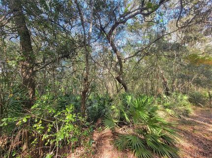 Property for sale in Hernando County, Florida