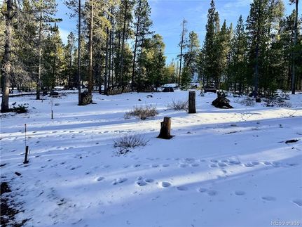 Property for sale in Lake County, Colorado