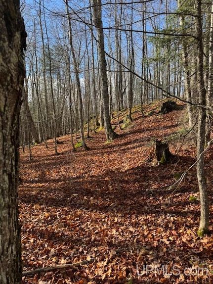 Property for sale in Baraga County, Michigan