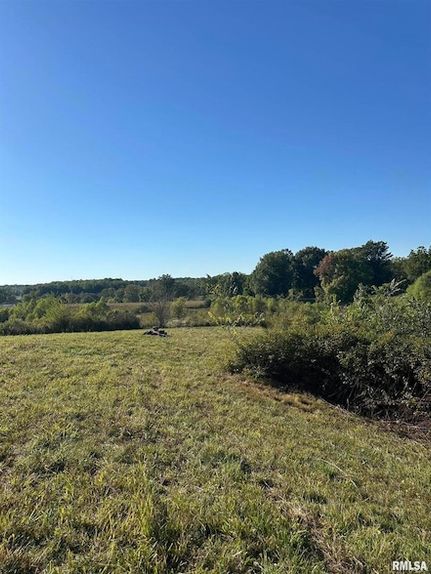 Property for sale in Pulaski County, Illinois
