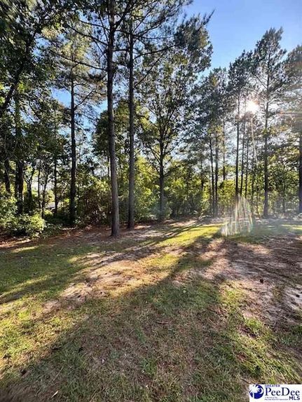 Property for sale in Chesterfield County, South Carolina