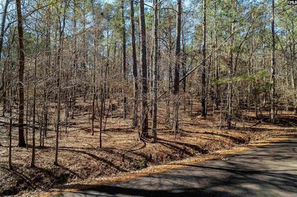 Property for sale in Saluda County, South Carolina