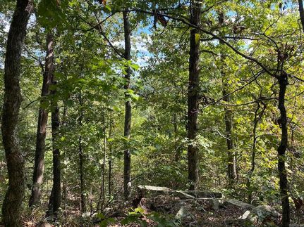 Property for sale in Stone County, Arkansas