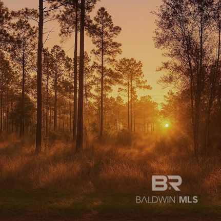 Property for sale in Baldwin County, Alabama