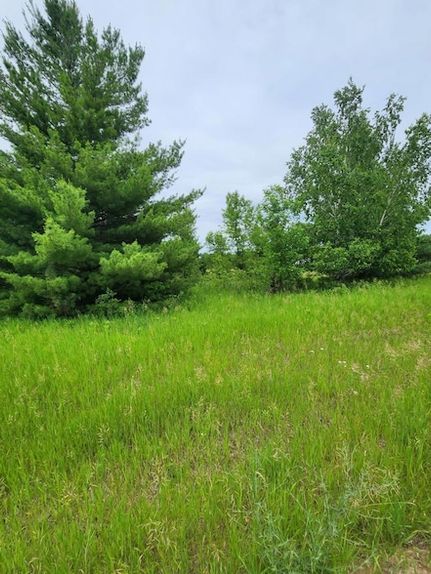 Property for sale in Todd County, Minnesota