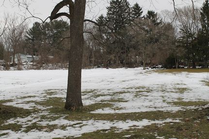 Undeveloped Land for sale in Van Buren County, Michigan