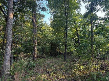 Property for sale in Madison County, Missouri