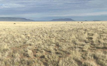 Property for sale in Costilla County, Colorado