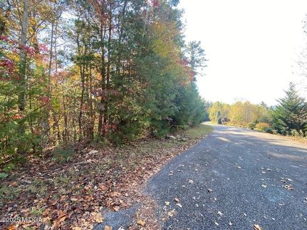 Undeveloped Land for sale in Rabun County, Georgia