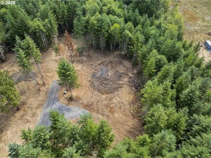 Undeveloped Land for sale in Cowlitz County, Washington