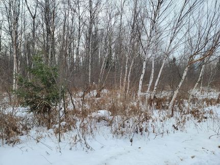 Residential Property for sale in Sawyer County, Wisconsin