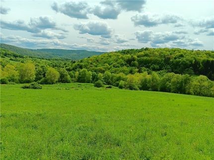 Undeveloped Land for sale in Delaware County, New York