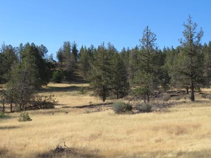 Property for sale in Siskiyou County, California