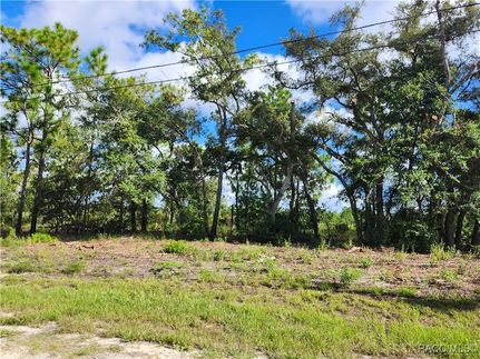 Property for sale in Citrus County, Florida